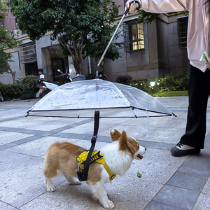 調整可能なリーシュを備えたクリア犬の傘 - 小さな犬のハンズフリーレイン保護