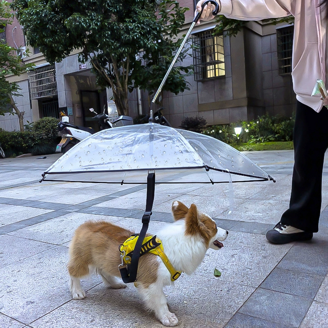 調整可能なリーシュを備えたクリア犬の傘 - 小さな犬のハンズフリーレイン保護